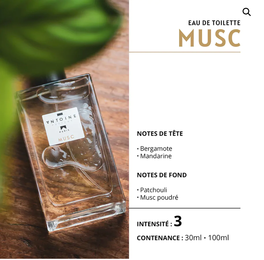 ANTOINE PARFUM EAU DE TOILETTE - ANTOINE PARFUM