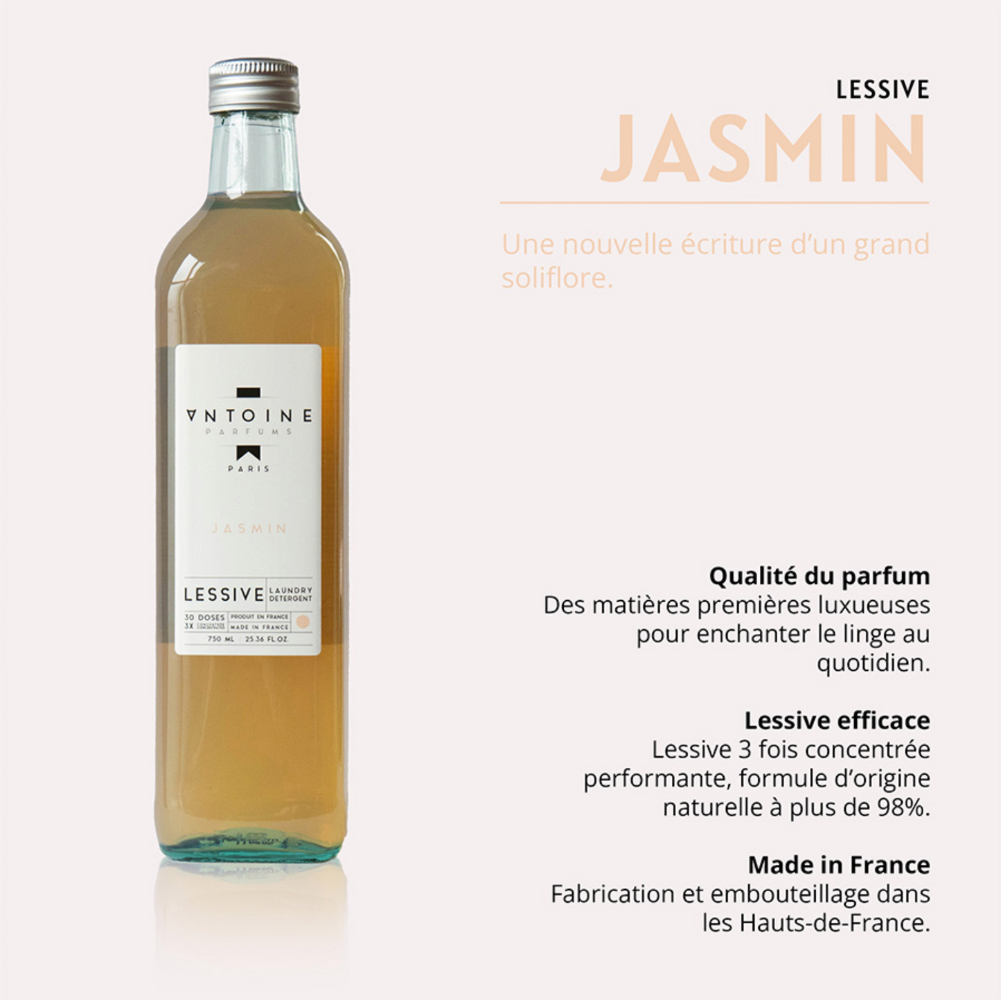 LAVANDERÍA JAZMÍN - ANTOINE PARFUMS 